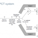 PCT patent application flow diagram