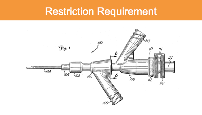 Election-Restriction Requirement