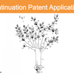 Continuation patent application: how to build a patent family