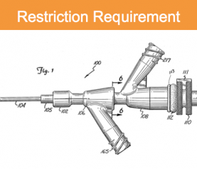 Election-Restriction Requirement