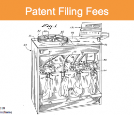 Patent Filing Fees